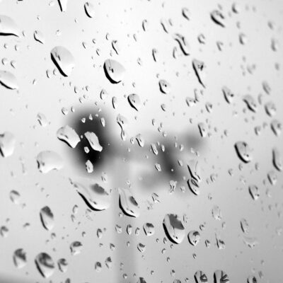 2e Prijs - © Gert Scholten