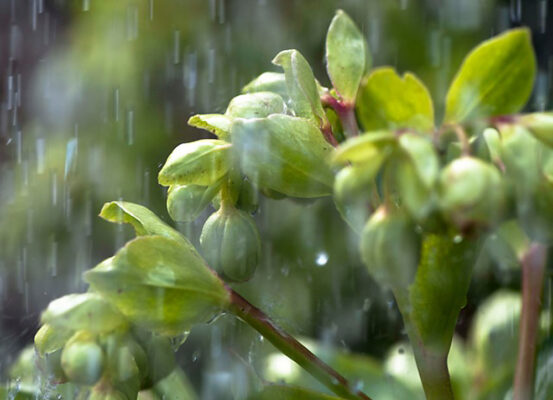 3e Prijs - © Jan ter Veer