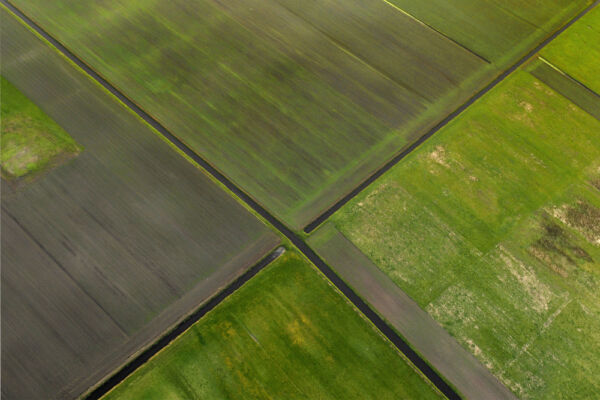 2e Prijs - © Jaap Groeneveld