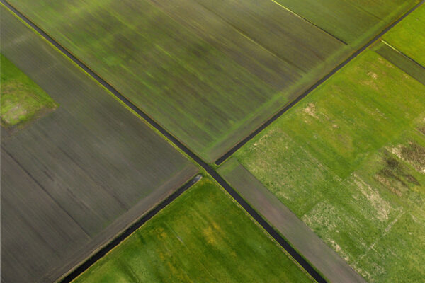 2e Prijs - © Jaap Groeneveld