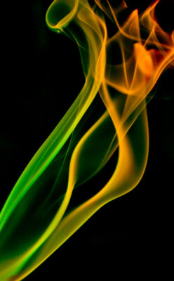 1e Prijs - © Bertus Kamps