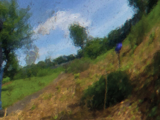 2e Prijs - © Flip Kiewiet