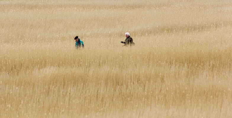 © Willy van der Laan