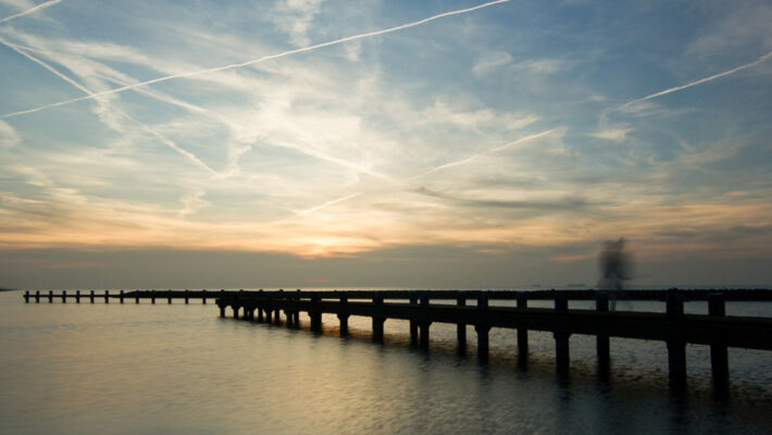 © Willy van der Laan