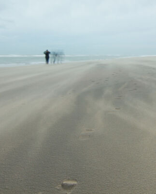 © Willy van der Laan