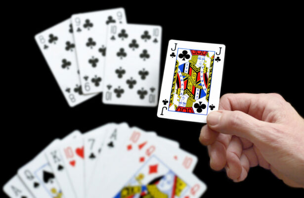 © Jaap Groeneveld, 1e prijs