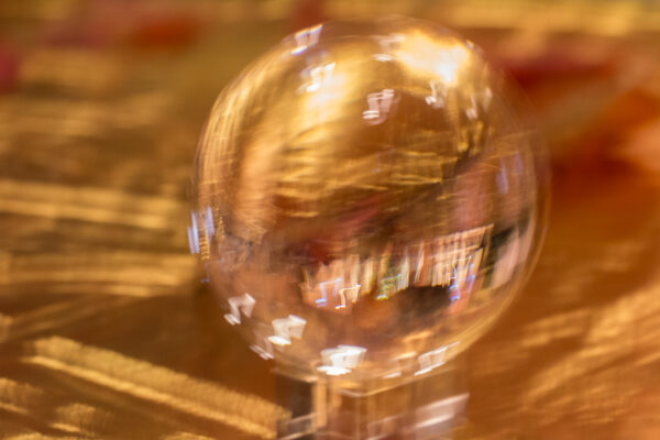 © Willy van der Laan