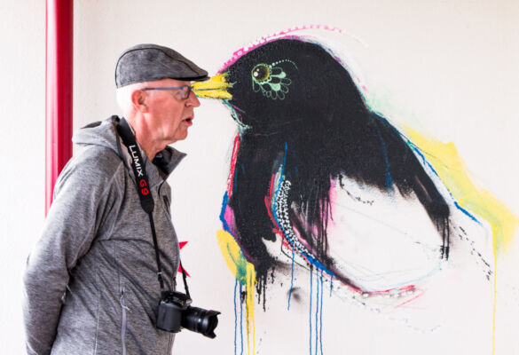 © Willy van der Laan