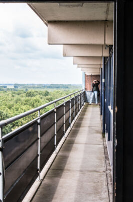 © Willy van der Laan