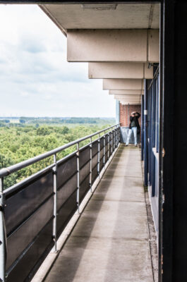 © Willy van der Laan