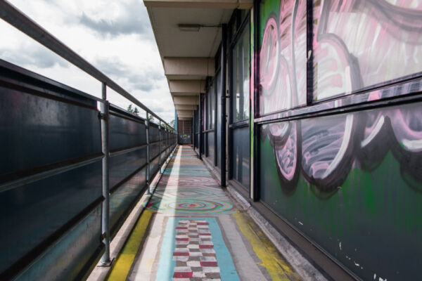 © Willy van der Laan