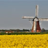 © Jan Schaap