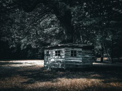 © Gert Scholten