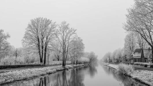 © Hendrik Watermulder