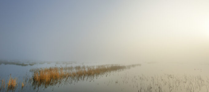 Derde plaats © Jaap Groeneveld