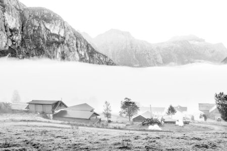 © Willy van der Laan